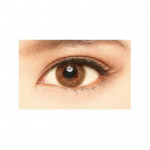 Miche Bloomin No.206 IvyLady 30片裝